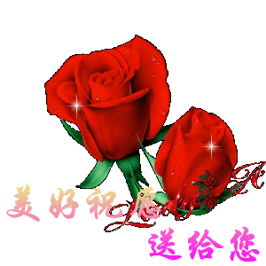 祝贺全国妇女骑友三,八节快乐!