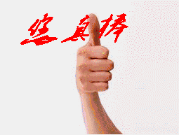 您真棒.gif
