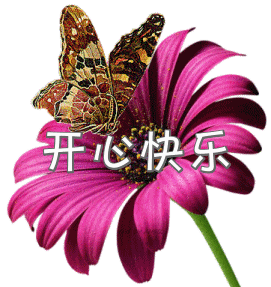 祝车友们元旦快乐!健康幸福!