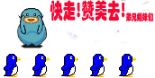 谢谢,勤凡姐精彩的画面