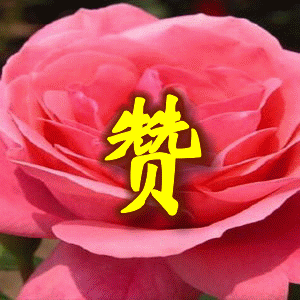 300_300gif 动态图 动图