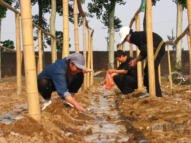 【骑游回报】走进吴唐营(昨日之回放,今日之汇